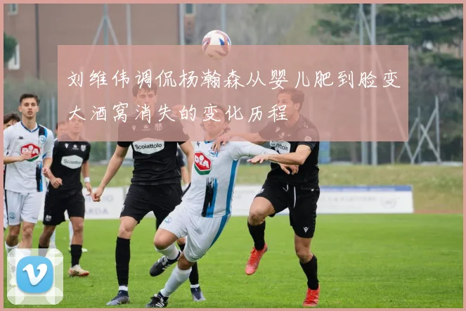 刘维伟调侃杨瀚森从婴儿肥到脸变大酒窝消失的变化历程